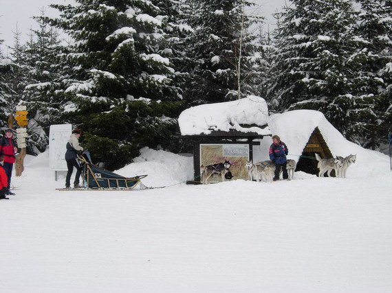 Klikněte pro zobrazení původního (velkého) obrázku