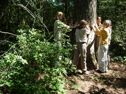 Klikněte pro zobrazení původního (velkého) obrázku