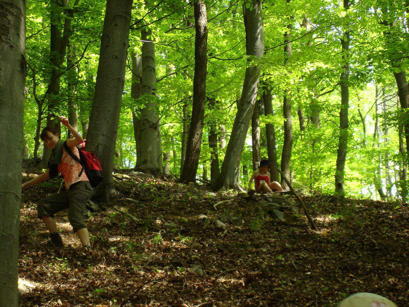 Klikněte pro zobrazení původního (velkého) obrázku