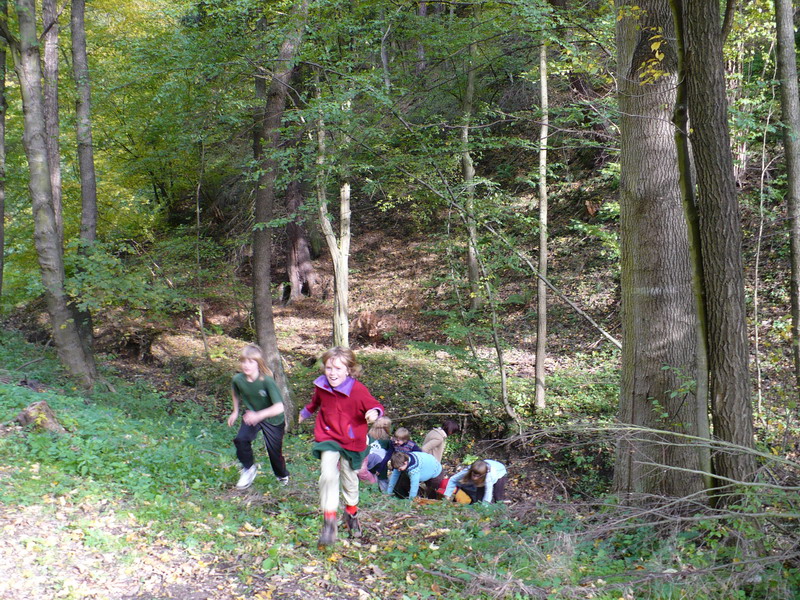 Klikněte pro zobrazení původního (velkého) obrázku