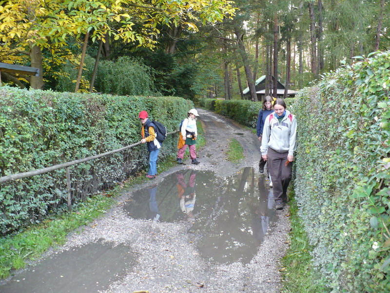 Klikněte pro zobrazení původního (velkého) obrázku