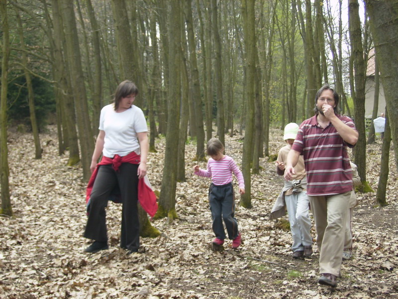 Klikněte pro zobrazení původního (velkého) obrázku