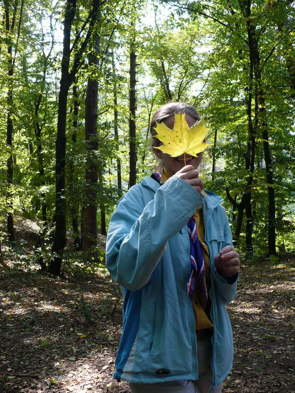 Klikněte pro zobrazení původního (velkého) obrázku