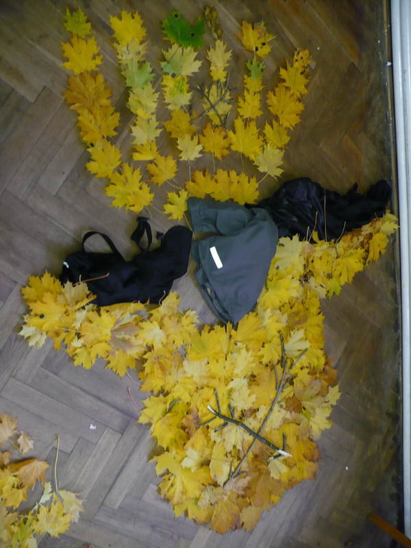 Klikněte pro zobrazení původního (velkého) obrázku