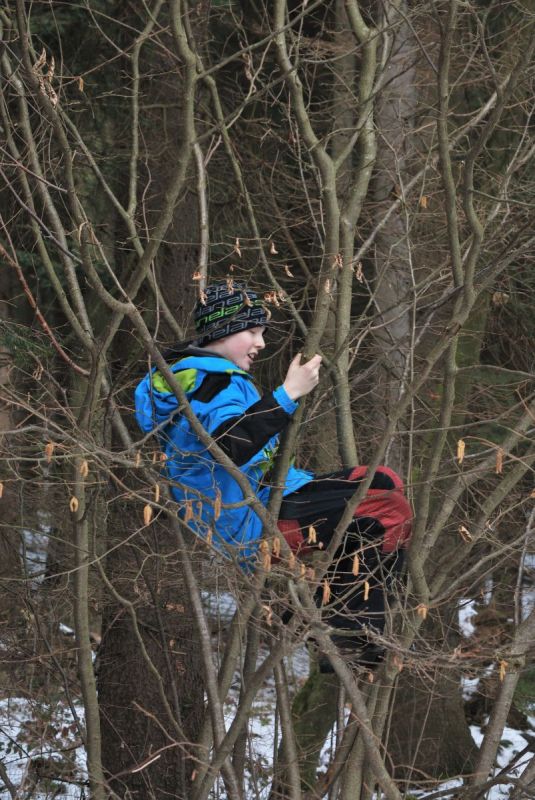 Klikněte pro zobrazení původního (velkého) obrázku